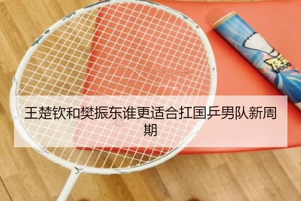 王楚钦和樊振东谁更适合扛国乒男队新周期